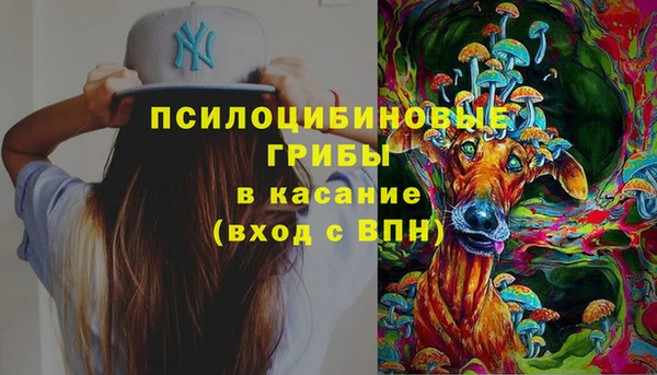 прущая мука Абаза