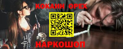 гашик Малгобек