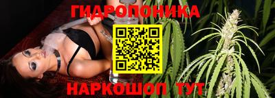 гашик Малгобек