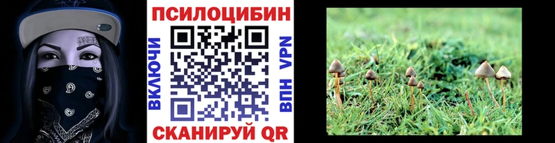 OMG рабочий сайт Кумертау Псилоцибиновые грибы мицелий как найти закладки