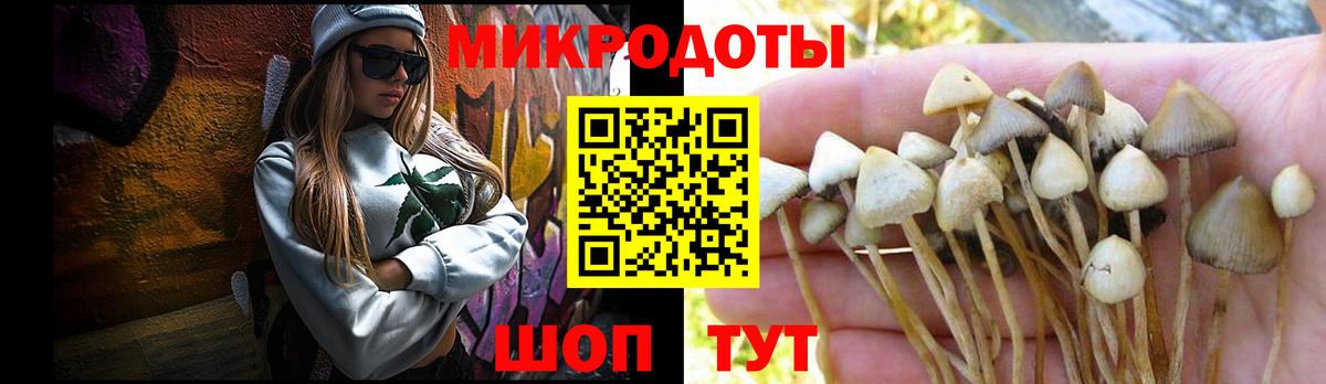 Кумертау  Псилоцибиновые грибы мицелий  Псилоцибиновые грибы мухоморы  Вход с VPN 
